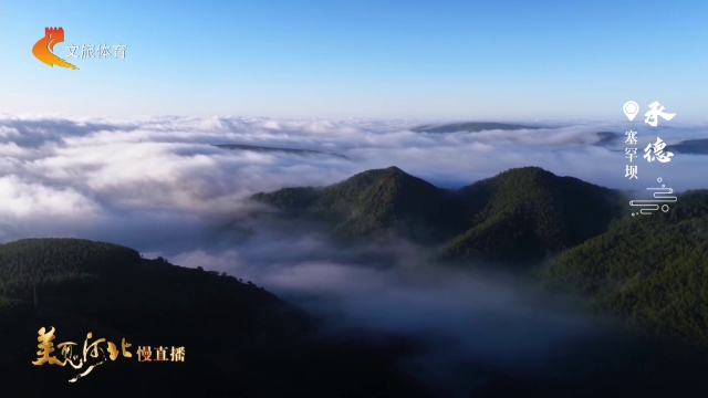 美丽河北慢直播丨塞罕坝云海拥翠林，晨光含诗意！承德 清晨 2026/06/06 #这么近，那么美，周末到河北