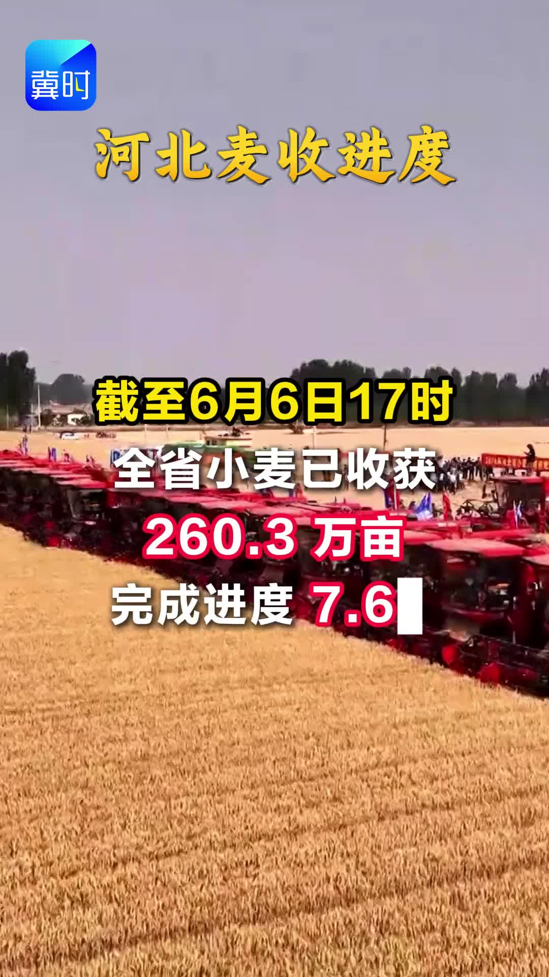 河北麦收进度：截至6月6日17时，全省小麦已收获260.3 万亩，完成进度7.6%，当日投入小麦联合收割机5245台。