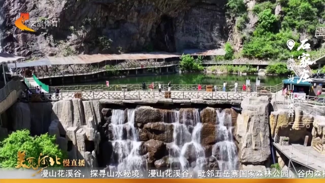 美丽河北见证官张文元作品欣赏丨寻幽花溪谷，解锁夏日避暑之旅！