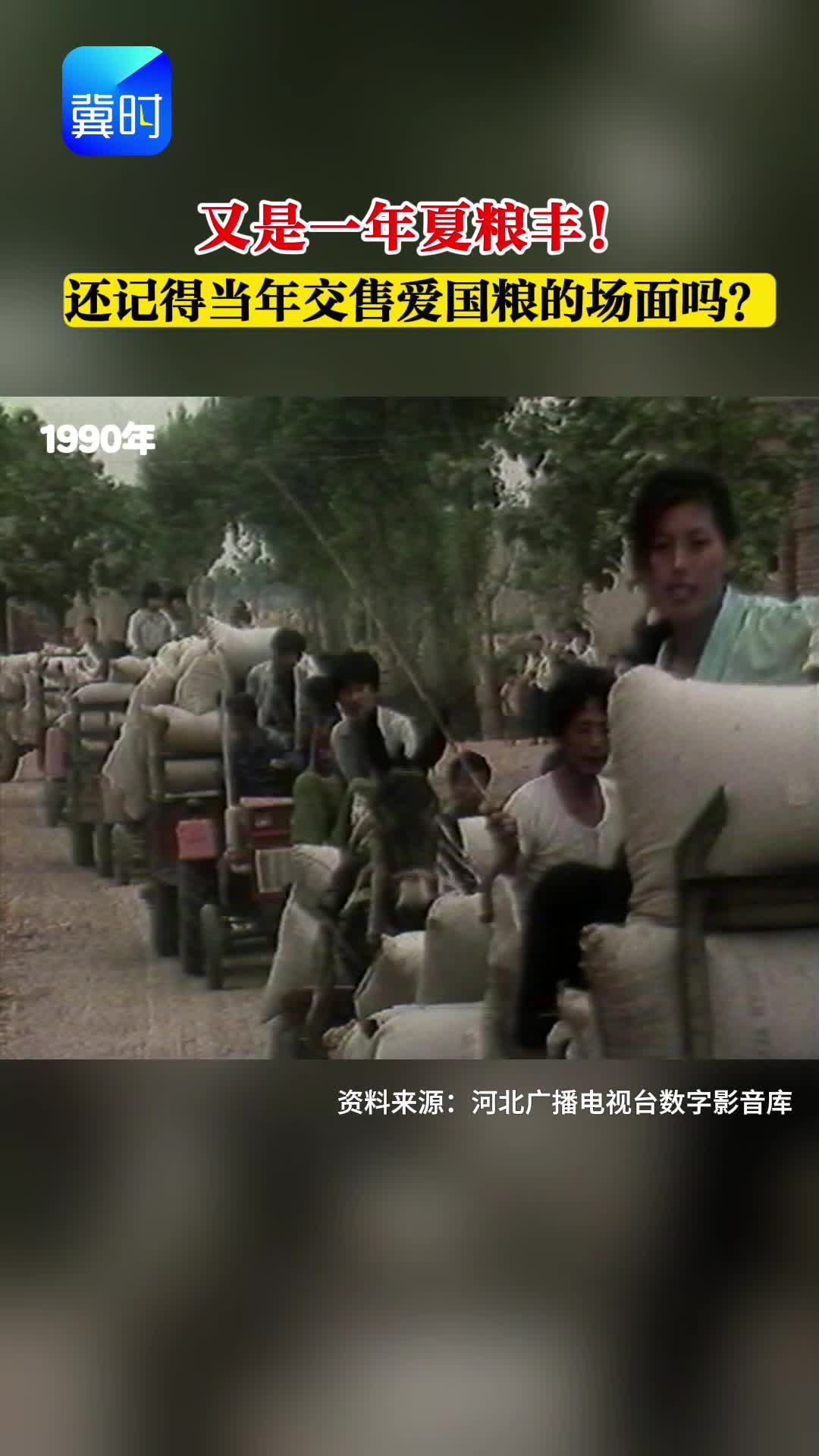 【时光机】又是一年夏粮丰！还记得当年交售爱国粮的场面吗？