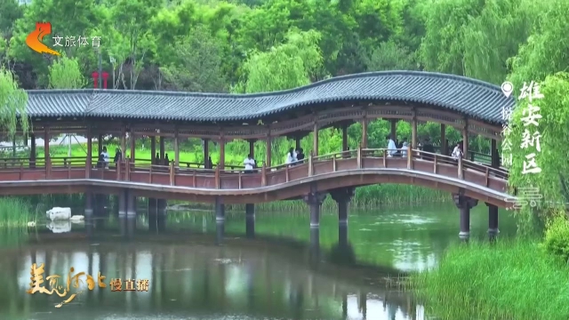 美丽河北慢直播丨宝藏游园地！悦容公园国风氛围感拉满 清晨 2026/06/10#这么近，那么美，周末到河北