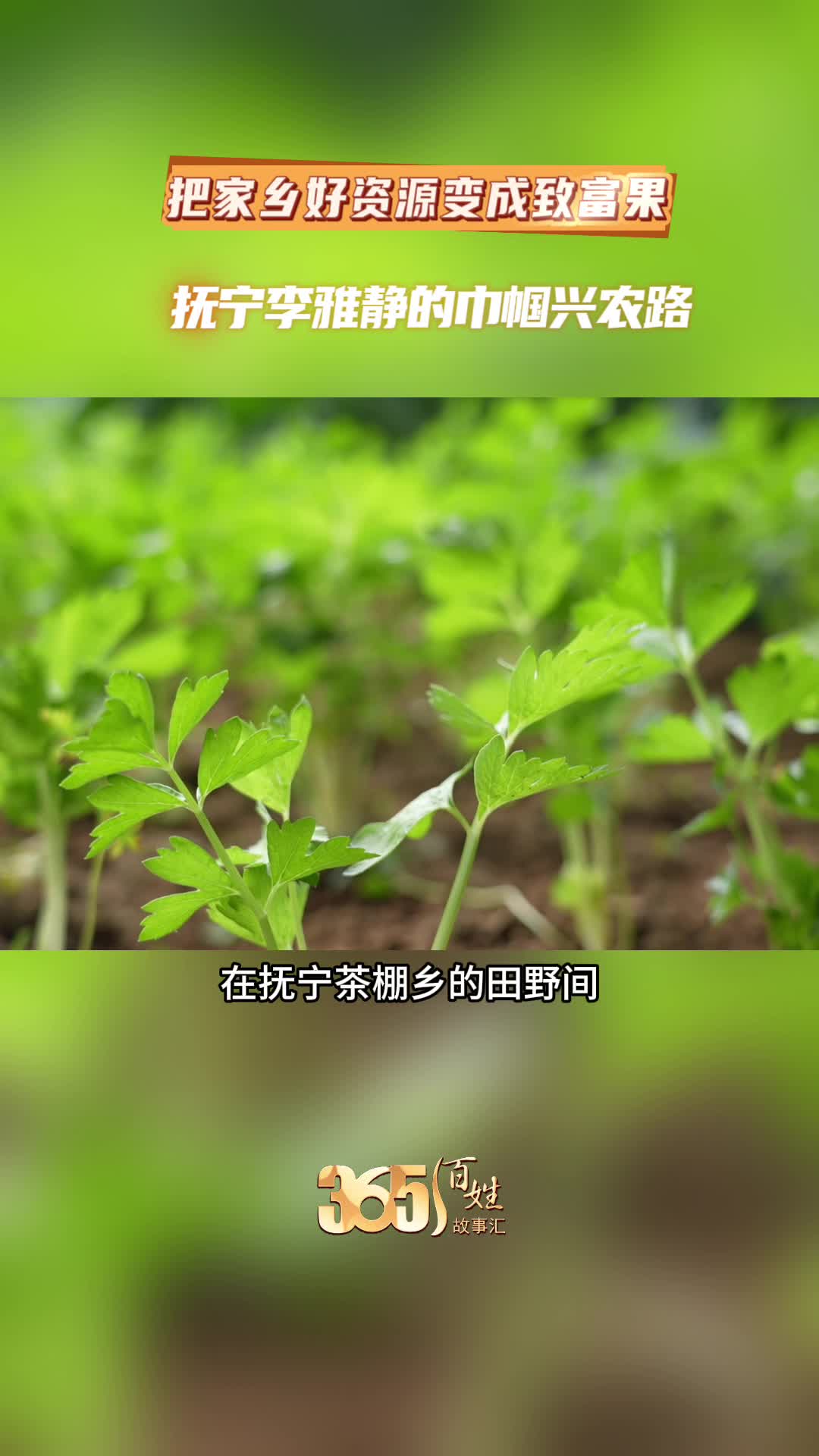 365百姓故事汇 把家乡好资源变成致富果 抚宁李雅静的巾帼兴农路