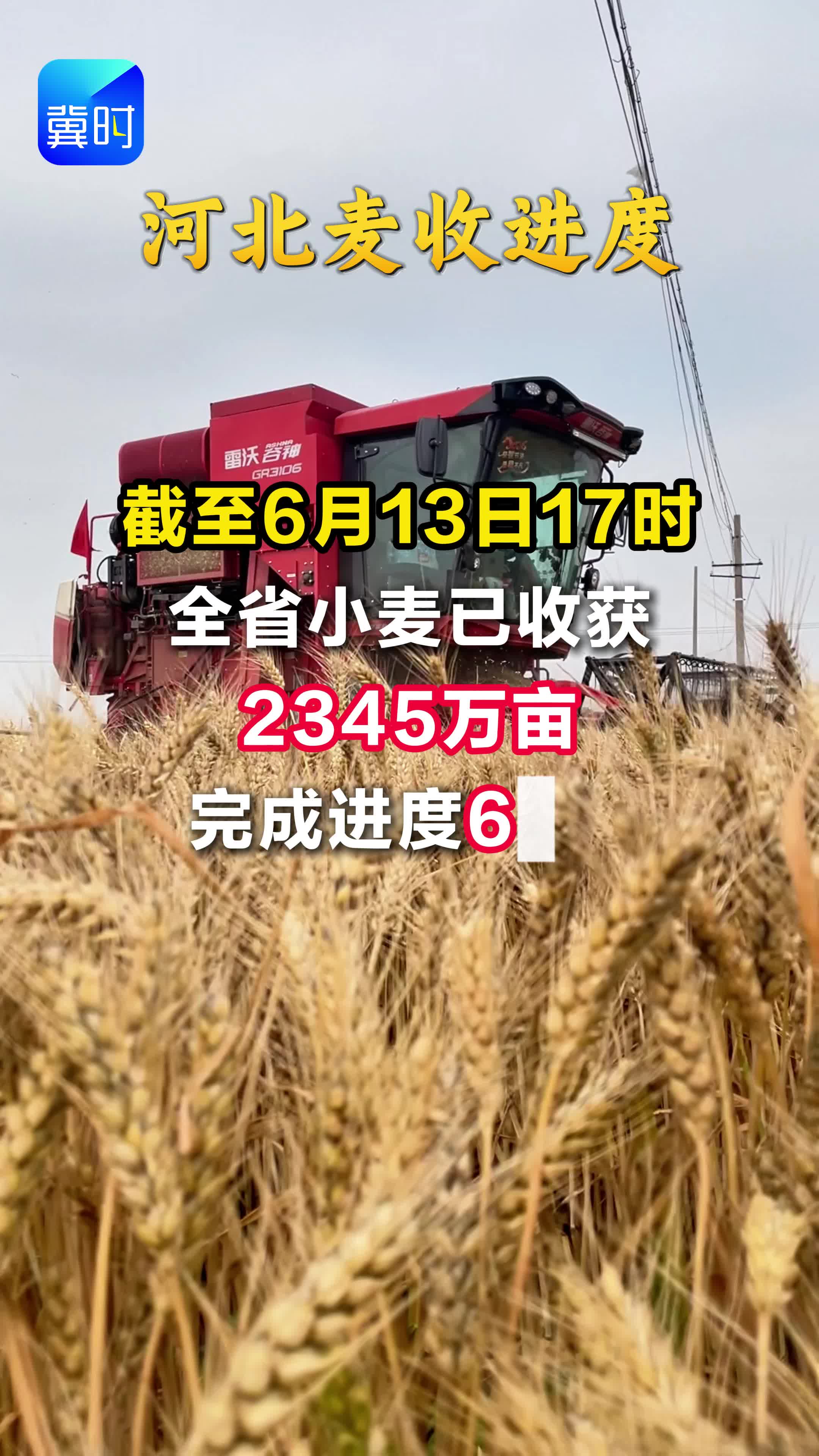 河北麦收进度