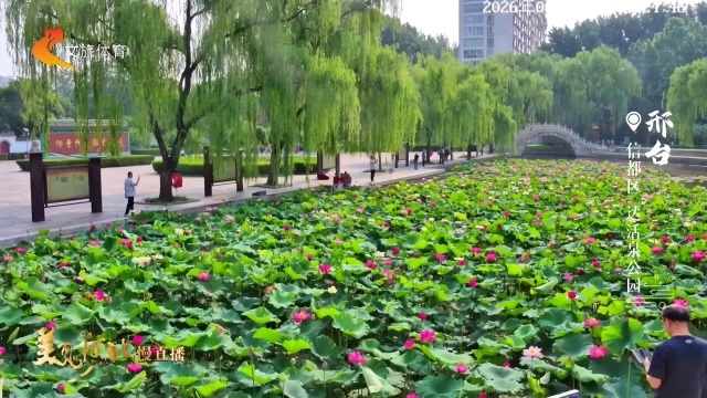美丽河北慢直播丨夏日限定美景！到达活泉公园赏荷去~邢台 清晨 2026/06/16#这么近，那么美，周末到河北