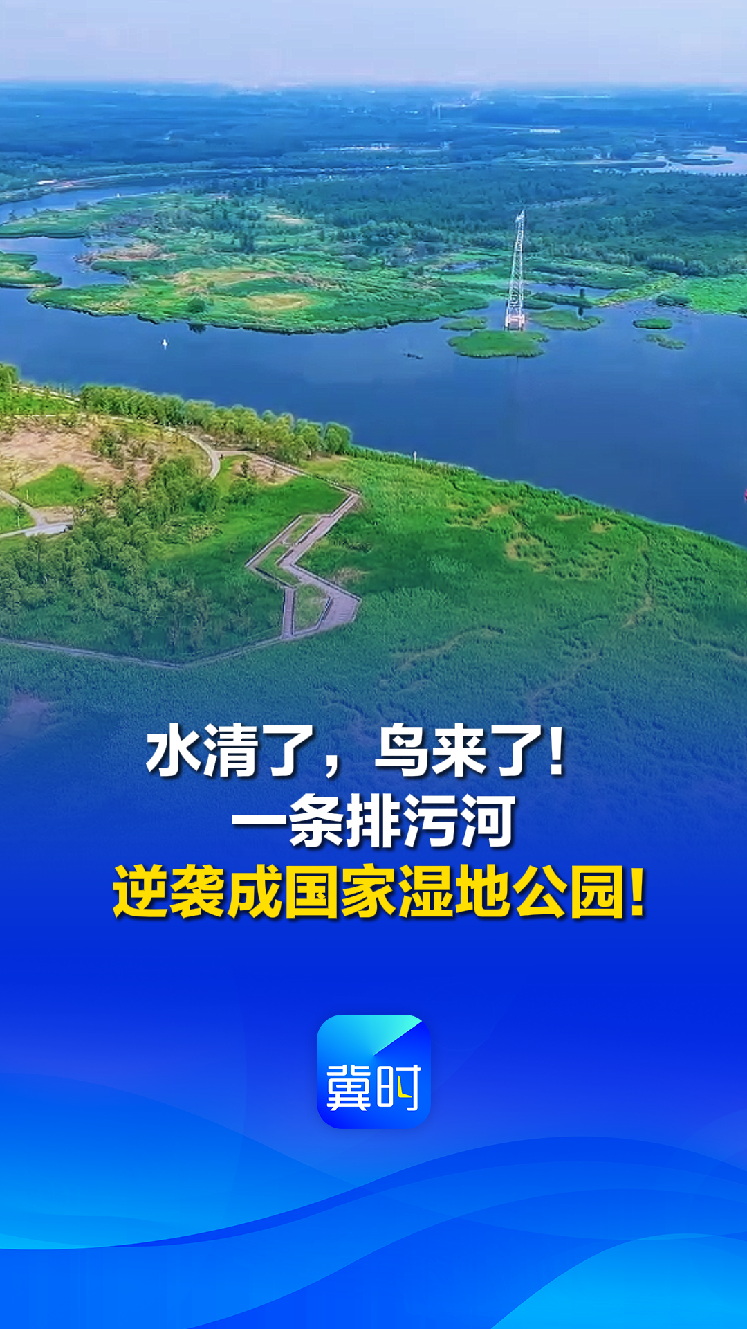 水清了，鸟来了，景美了！廊坊这条排污河逆袭成国家湿地公园！
