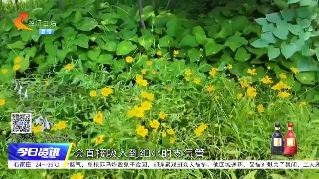 雨天空气湿润 为何哮喘患者反而扎堆？医生提醒来了