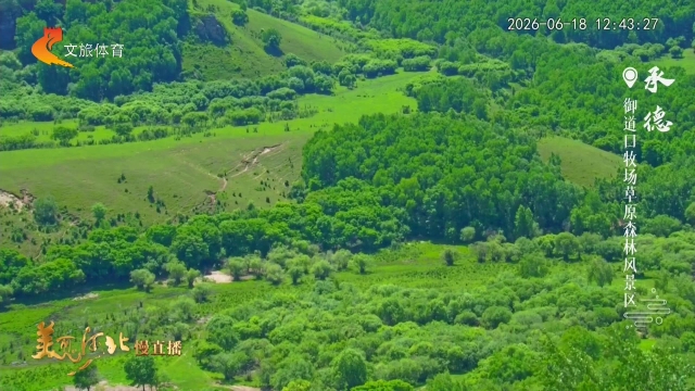 美丽河北慢直播丨一路向北，奔赴承德坝上的绿色山河 正午 2026/06/18#这么近，那么美，周末到河北
