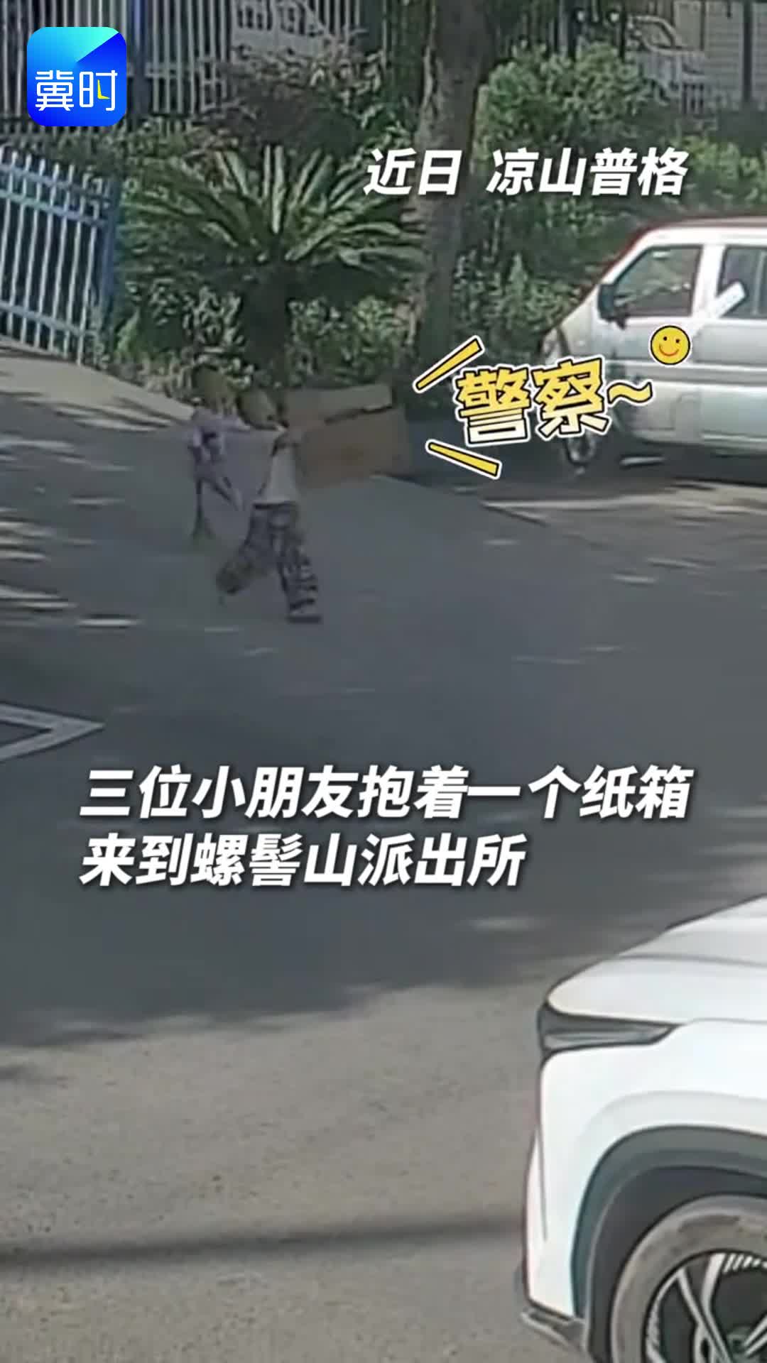 狠狠点赞！三位小朋友救助国家二级保护动物白腹锦鸡