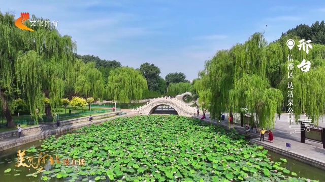 美丽河北慢直播丨晴日映荷塘，荷花盛放，达活泉公园夏意正浓 邢台信都区 清晨 2026/06/19#这么近，那么美，周末到河北