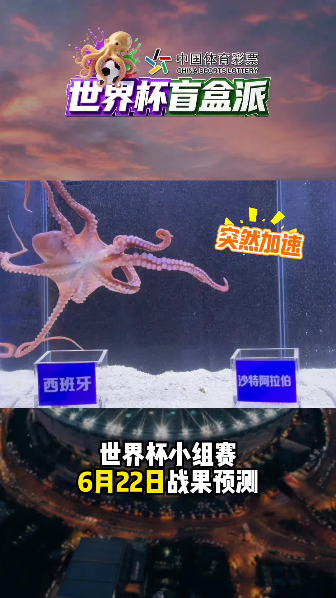 6月22日小组赛第2轮，“菠萝帝”会看好哪支劲旅呢？#中国体育彩票世界杯盲盒派#世界杯#章鱼菠萝帝 #安心购彩守护热爱