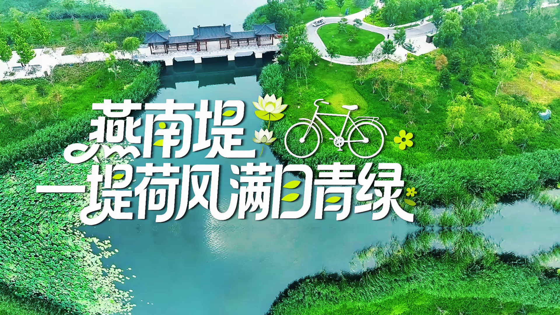 骑行看雄安丨燕南堤：一堤荷风 满目青绿