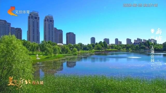 美丽河北慢直播丨碧水泛波光，树荫纳清凉~大湖公园，家门口的宝藏公园 廊坊 清晨 2026/06/25#这么近，那么美，周末到河北
