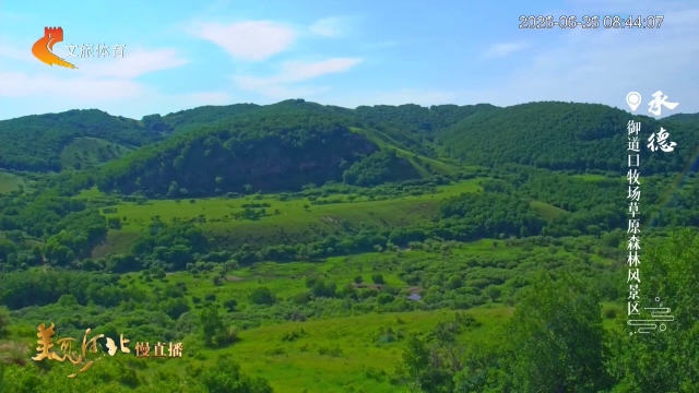 美丽河北慢直播丨云低风软，沉醉在坝上草原的如画好景中 承德 清晨 2026/06/26#这么近，那么美，周末到河北
