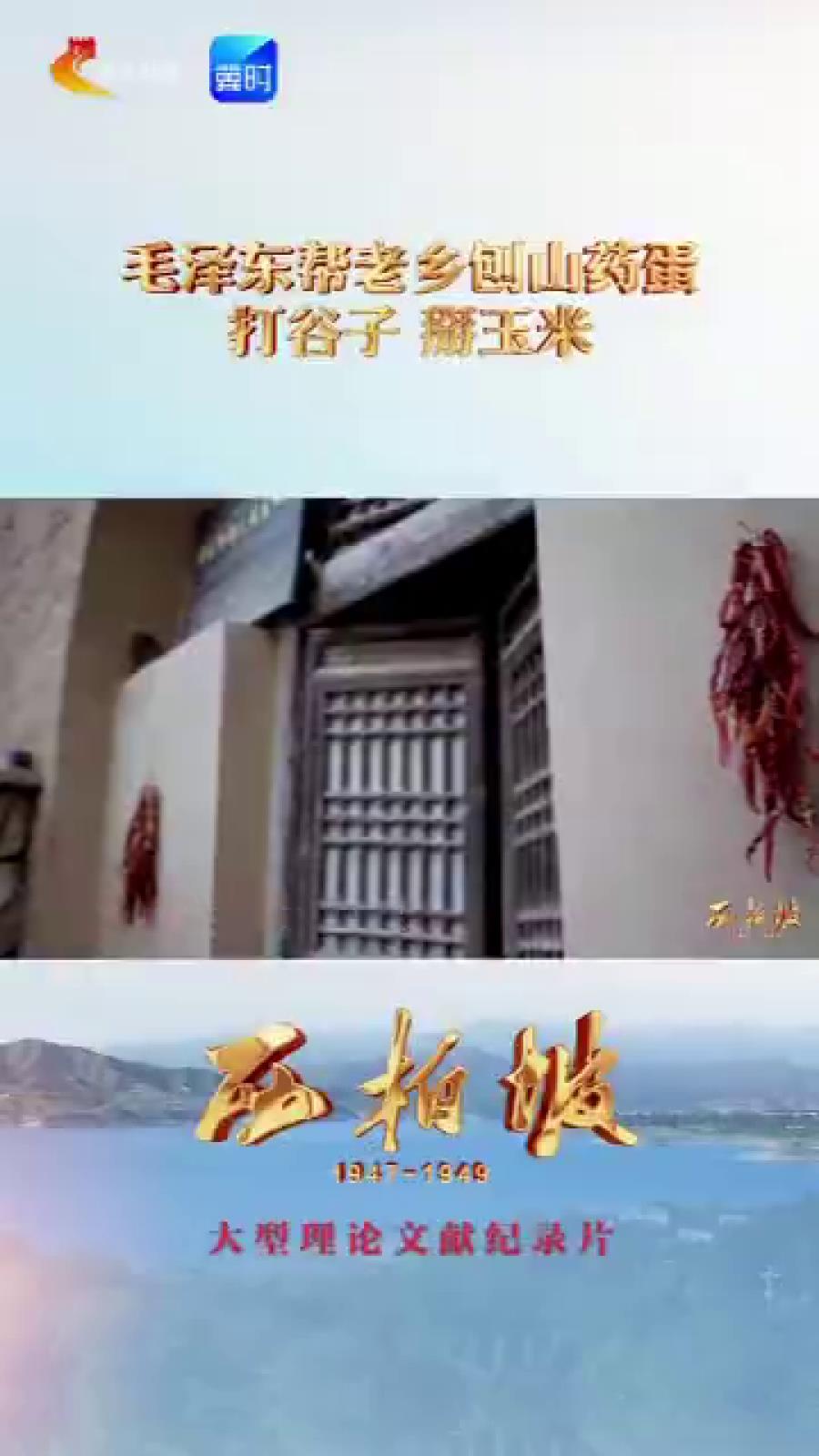 从西柏坡看到今天的中国丨毛泽东帮老乡刨山药蛋，打谷子，掰玉米 #追光的你