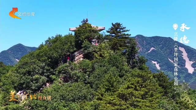 美丽河北慢直播丨六里坪，一座藏在燕山深处的绿野仙境 承德 正午 2026/07/03#这么近，那么美，周末到河北