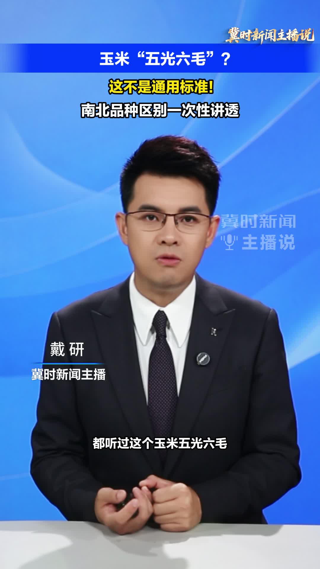【冀时新闻主播说】玉米“五光六毛”不是通用标准！南北品种区别一次性讲透