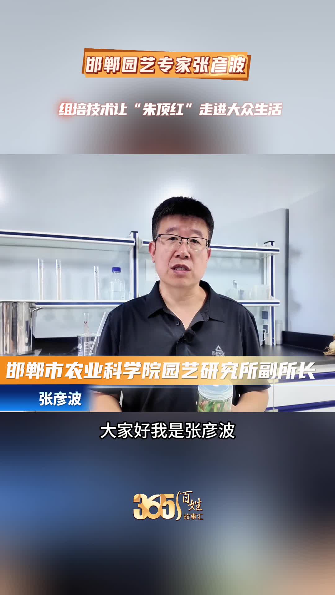 365百姓故事汇 邯郸园艺专家张彦波 组培技术让“朱顶红”走进大众生活