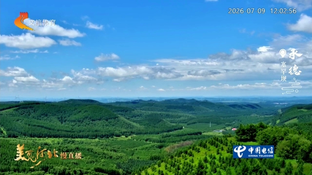 美丽河北慢直播丨亲测！承德坝上的绿野仙踪好绝 正午 2026/07/09#这么近，那么美，周末到河北