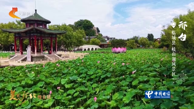 美丽河北见证官韩长青作品欣赏丨岐山湖碧水亭榭荷韵浓！