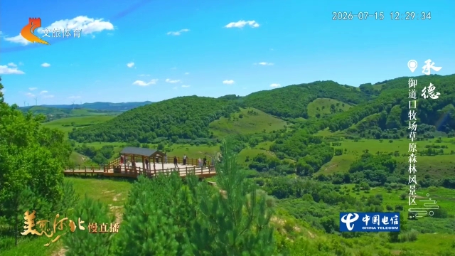 美丽河北慢直播丨天然氧吧！御道口牧场草原森林风景区青绿漫无边际 承德 正午 2026/07/15#这么近，那么美，周末到河北