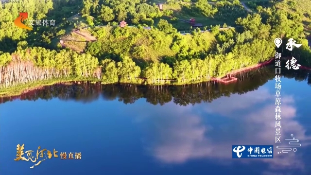美丽河北见证官宋文峰作品欣赏丨御道口牧场平湖碧波，鸟舞翩跹！