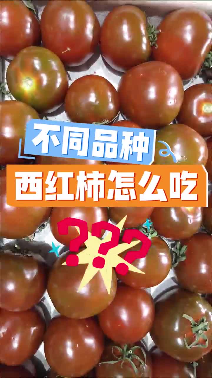 不同品种西红柿吃法大揭密！欢迎评论区分享私家吃法！（编辑：苏梦）