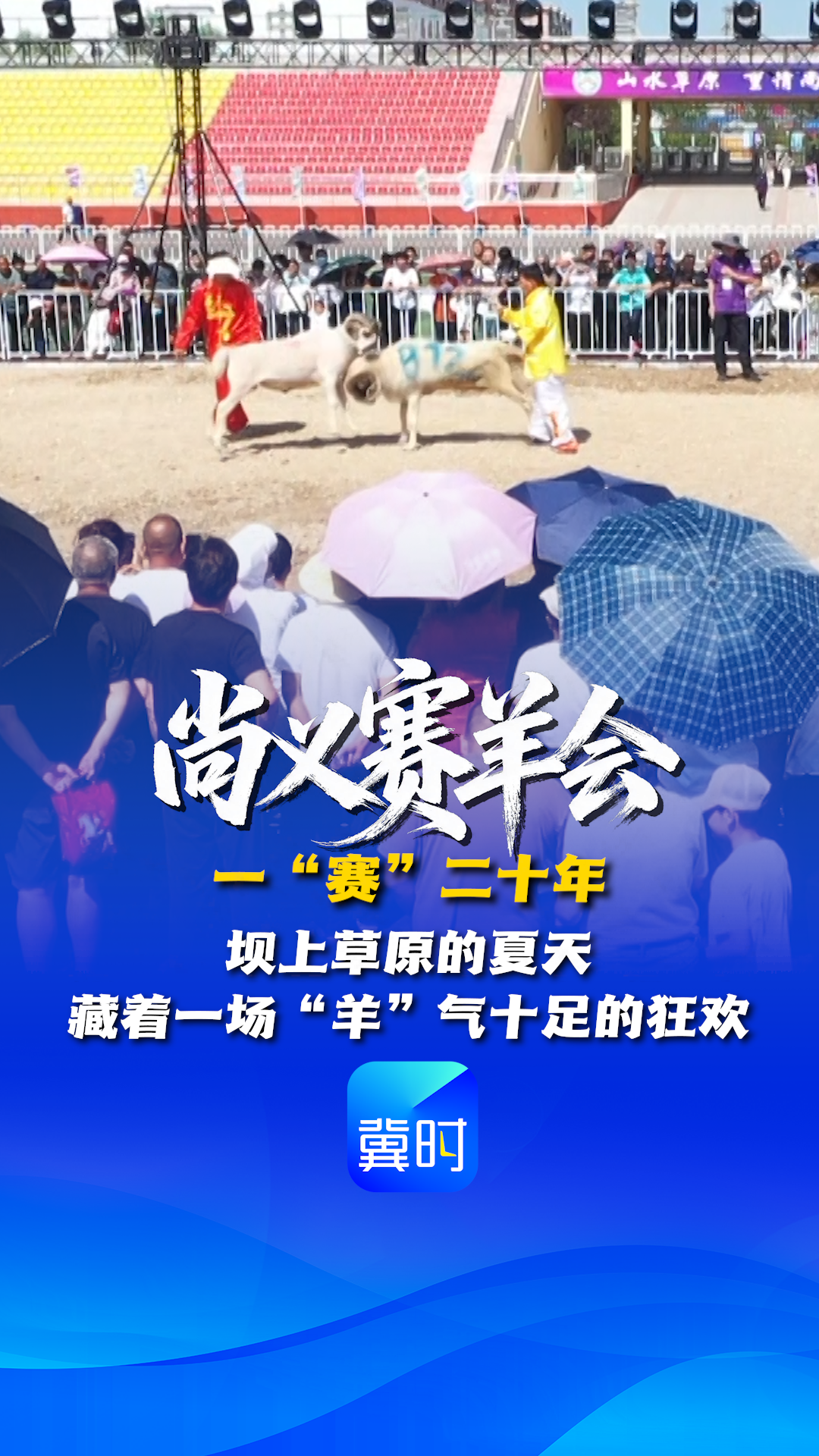来河北宠你一夏丨尚义赛羊会 一“赛”二十年 坝上草原的夏天 藏着一场“羊”气十足的狂欢
