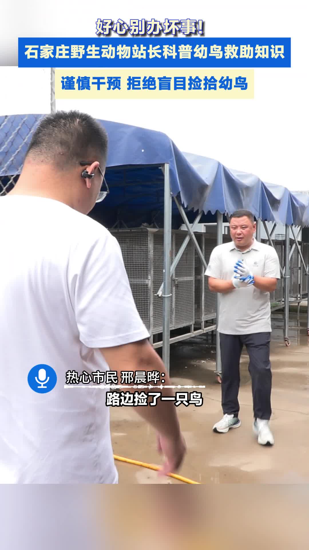 7月迎来鸟类救助高峰！遇到落单幼鸟怎么办？专家给咱讲清楚#野生鸟类#科学救助#救助知识
