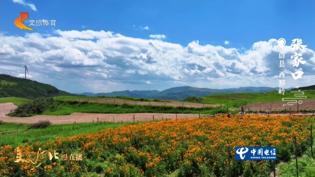 美丽河北慢直播丨青山叠翠繁花盛，云卷云舒西邢岭 张家口 正午 2026/07/31#这么近，那么美，周末到河北
