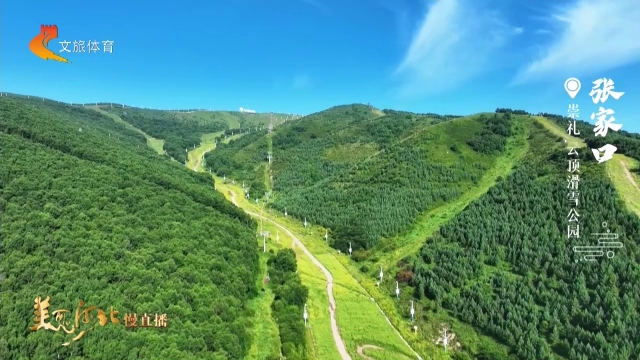 美丽河北慢直播•京张体育文化旅游带丨沉浸式崇礼度假，畅享清凉氧吧！正午 2026/08/01 #这么近，那么美，周末到河北