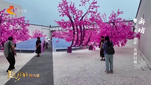 美丽河北慢直播丨踏入只有红楼梦·戏剧幻城，你我皆是戏中人 廊坊 正午 2026/08/05#这么近，那么美，周末到河北
