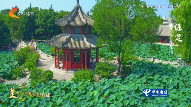 美丽河北慢直播丨打卡古莲花池，看荷香漫亭台，不负好时光 正午 2026/08/05#这么近，那么美，周末到河北