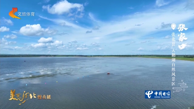 美丽河北慢直播丨天鹅湖水光潋滟涵清韵，风拂涟漪送夏凉 张家口 正午 2026/08/06#这么近，那么美，周末到河北