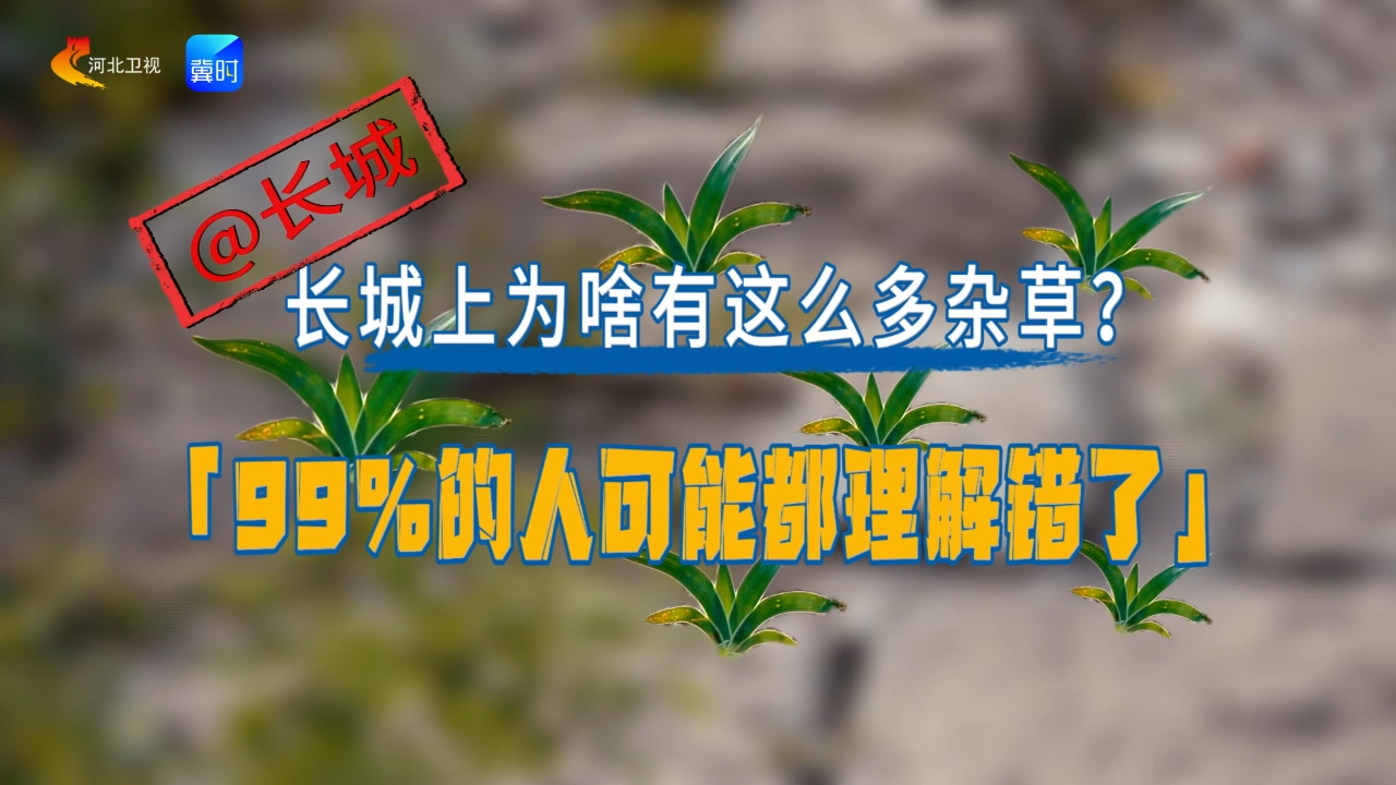 @长城|长城上为啥有这么多杂草？99%的人可能都理解错了！