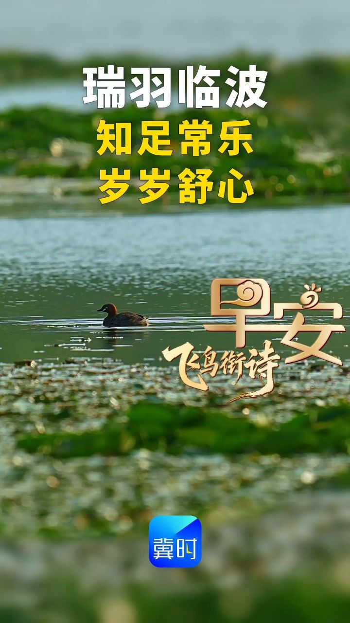 早安丨知足常乐，岁岁舒心