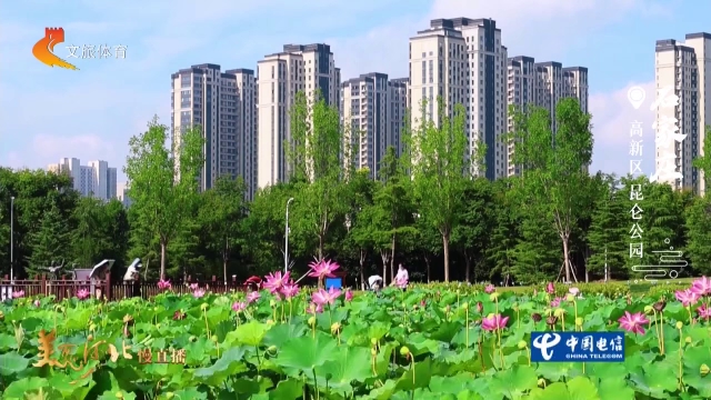 美丽河北见证官于志高作品欣赏丨翠盖凌波铺碧水，昆仑园中赏芙蕖