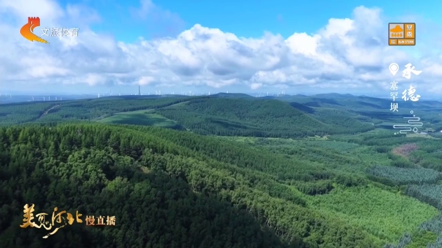 美丽河北见证官林树国作品欣赏丨塞罕坝云影千岭，林海万顷！