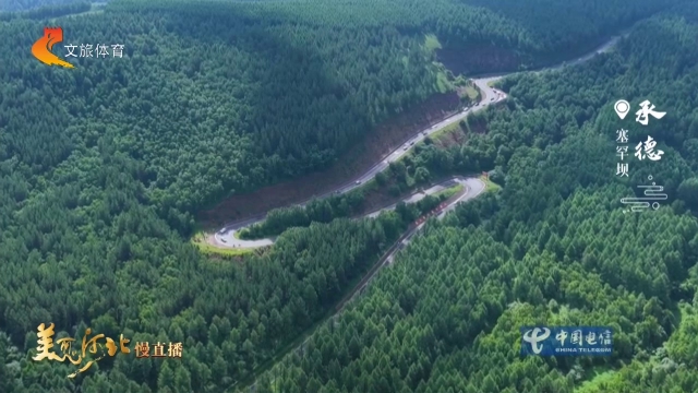 美丽河北慢直播丨林海听涛，云间寻梦~塞罕坝生态秘境 承德 清晨 2026/08/12#这么近，那么美，周末到河北