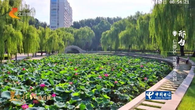 美丽河北慢直播丨达活泉公园柳堤荷韵，泉润邢襄！清晨 2026/08/17 #这么近，那么美，周末到河北