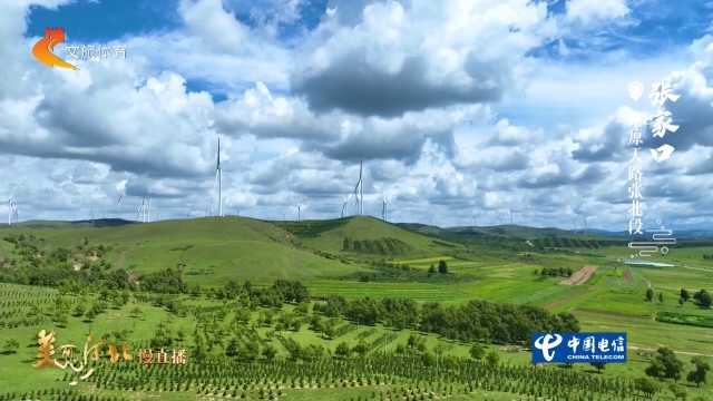 美丽河北慢直播•京张体育文化旅游带丨驰骋草原天路张北段，解锁塞外独有豪情 张家口 正午 2026/08/18#这么近，那么美，周末到河北
