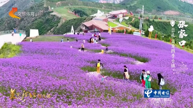 美丽河北慢直播•京张体育文化旅游带丨打卡富龙四季小镇，邂逅漫山花海~张家口 清晨 2026/08/19#这么近，那么美，周末到河北