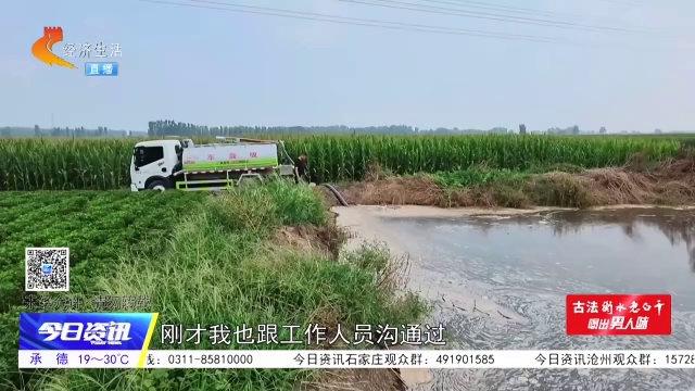 新闻追踪丨快速处置农田粪污隐患 排查防范同类问题再发生