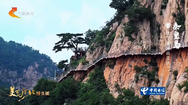 美丽河北见证官吴长新作品欣赏丨圣顶山天梯悬峭壁，古松立险峰！
