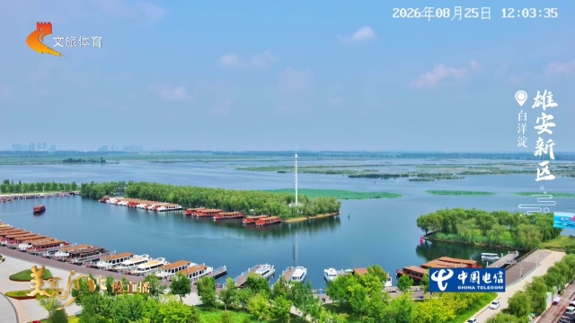 美丽河北慢直播丨游白洋淀，观苇浪荷塘，遇见梦里水乡 雄安新区 正午 2026/08/25#这么近，那么美，周末到河北