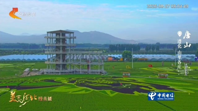 美丽河北慢直播丨山里各庄稻田画，把田园诗搬进现实旷野 唐山 清晨 2026/08/27#这么近，那么美，周末到河北
