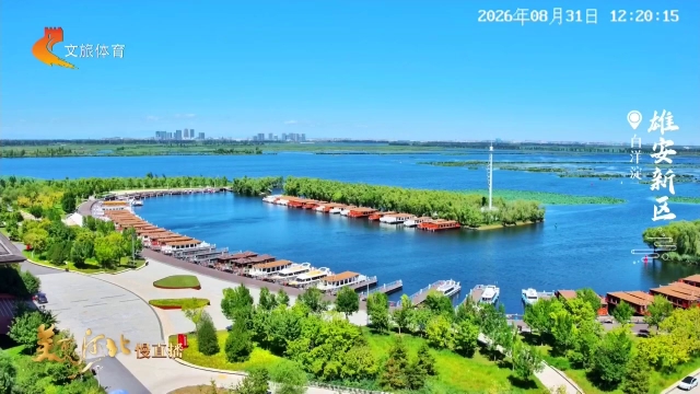 美丽河北慢直播丨晴空映碧水，大美白洋淀！雄安新区 正午 2026/08/31 #这么近，那么美，周末到河北