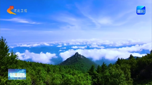 你好京津冀丨【美丽中国河北行·燕赵秘境】山林有灵 万物共生——探访河北雾灵山国家级自然保护区（下）
