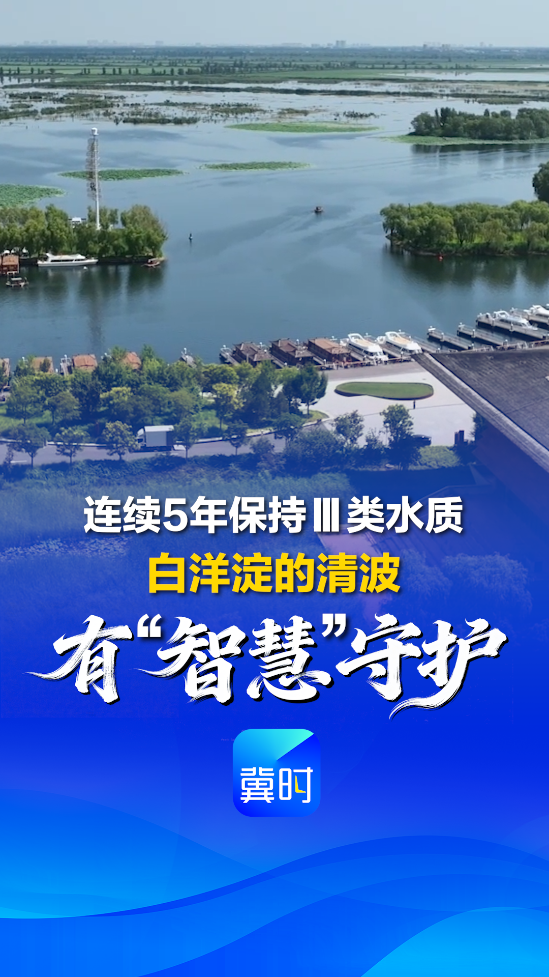 看见雄安丨连续5年保持Ⅲ类水质 白洋淀的清波 有“智慧”守护