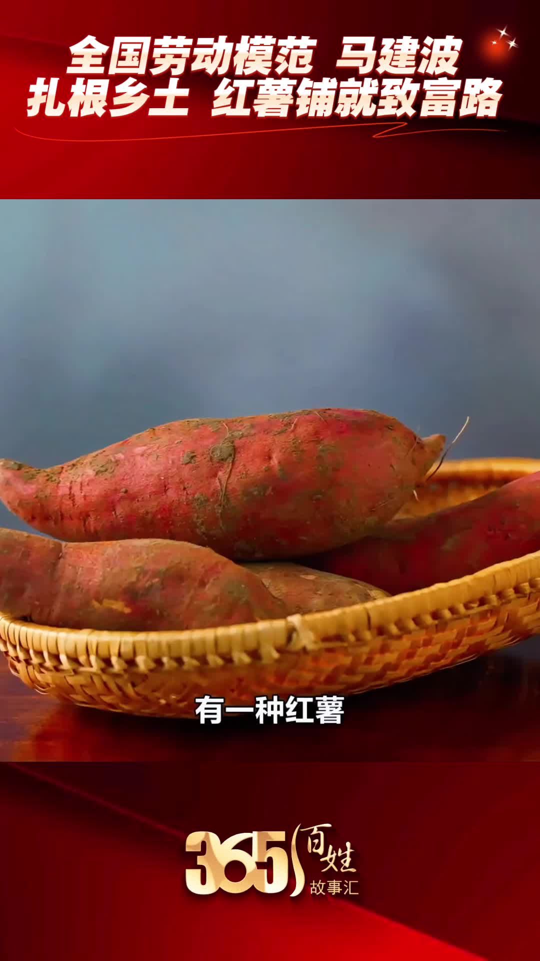 365 百姓故事汇·天天都有好故事｜全国劳动模范 马建波 扎根乡土 红薯铺就致富路