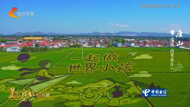 美丽河北慢直播丨风过稻畴染秋色，到山里各庄邂逅田园梦境 唐山 正午2026/09/02#这么近，那么美，周末到河北
